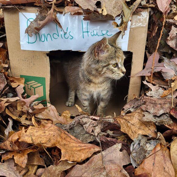 Meet your Posher, Clara - Picture 4 of 6